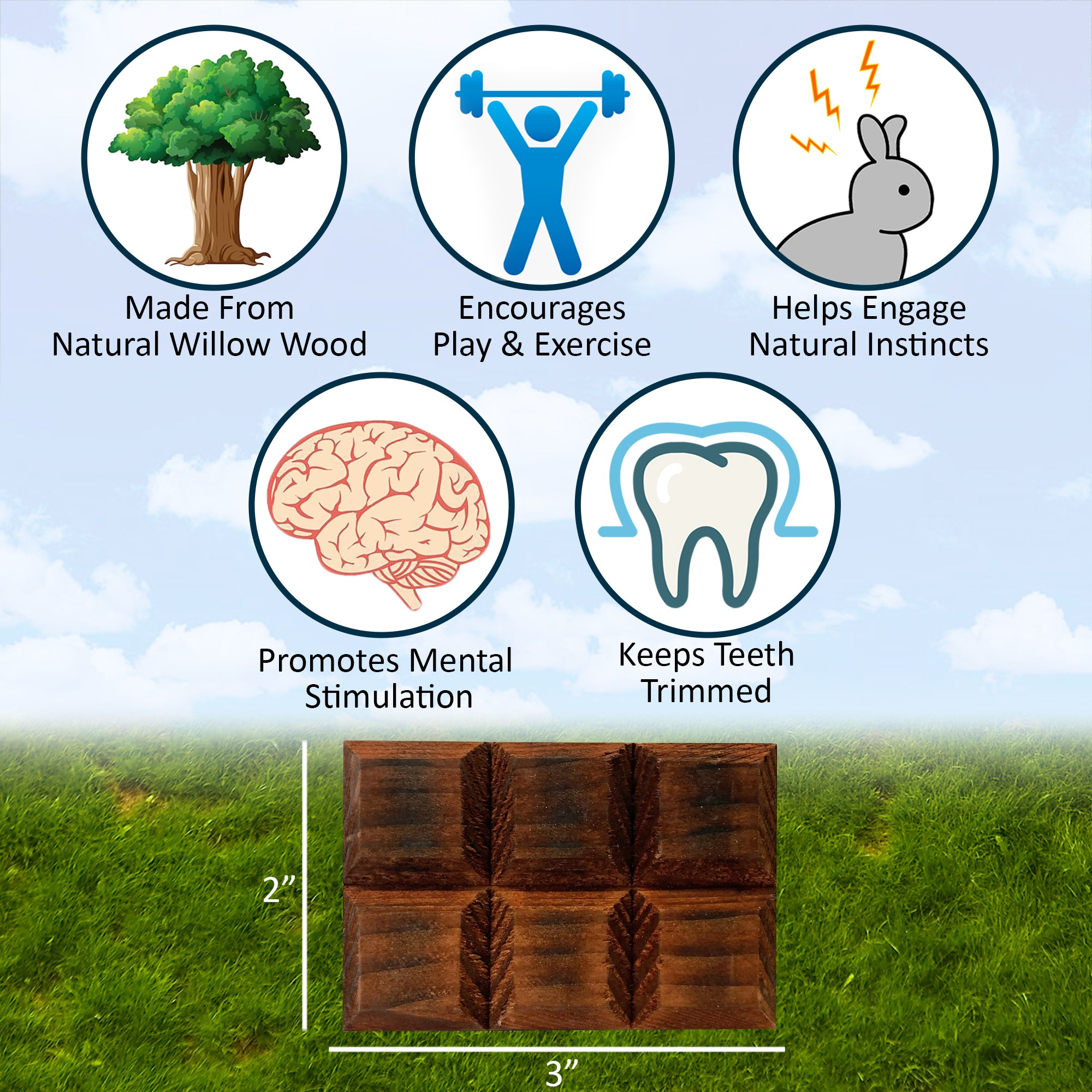 Willow Value Pack - Premium Quality & Affordable Bulk Set for Home, Office, or Gifts | Perfect for Decor, Storage & Organization