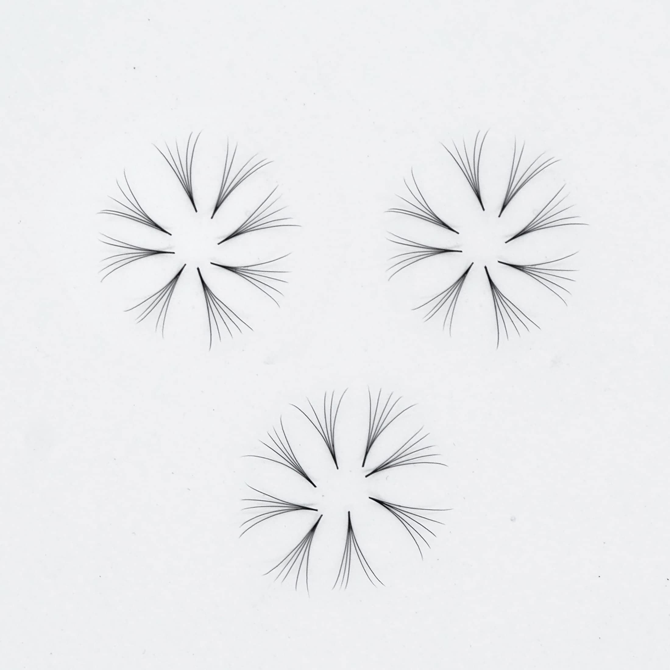 Premium 1000 Handmade Eyelash Extension Fans - 3D to 10D Volume Lashes (5D Curl C, 10mm) for Professional Salon & Home Use
