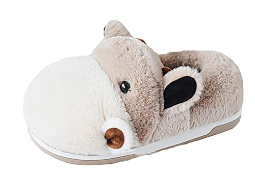 Brown Shoe