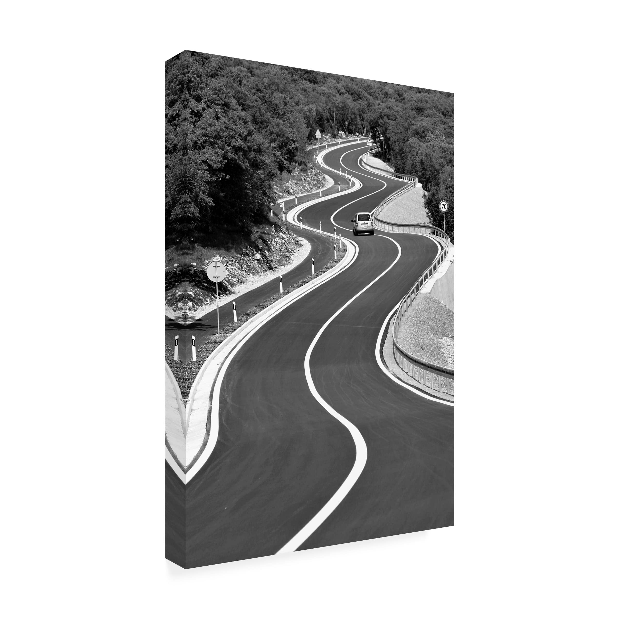 Trademark Fine Art 'Everyday Is A Winding Road' Canvas Wall Art by Bojan Bencic - Perfect for Living Room, Bedroom & Office Decor