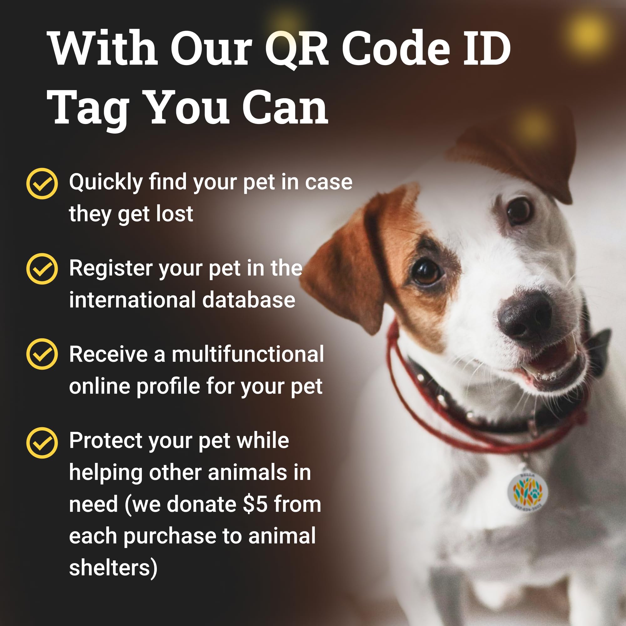 Personalized QR Code Dog Tag - Engraved Pet ID Name Plate with Online Profile for Dogs & Cats (Funny Pet Design) - Perfect for Lost Pet Recovery & Daily Pet Safety