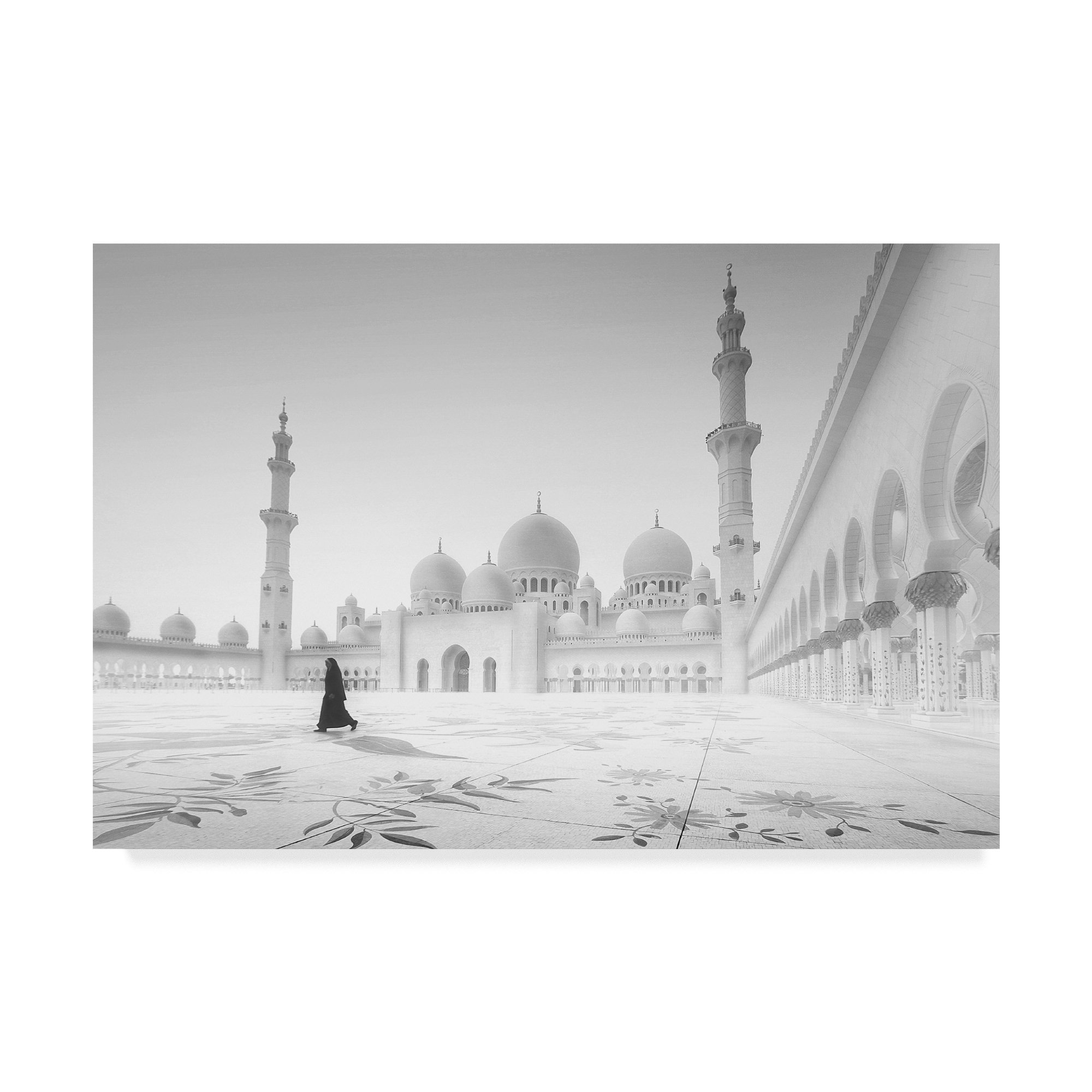 Trademark Fine Art Hussain Buhligaha Multicolor Canvas Painting - Perfect for Living Room, Bedroom & Office Wall Decor