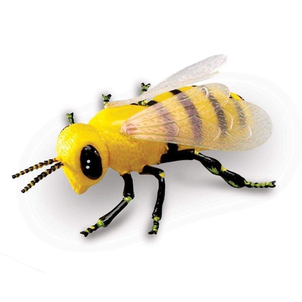 Giant Realistic Insect Figures - Educational Bug Toys for Kids, Science Classroom & Nature Exploration - Perfect for STEM Learning, Bug Collections & Outdoor Play