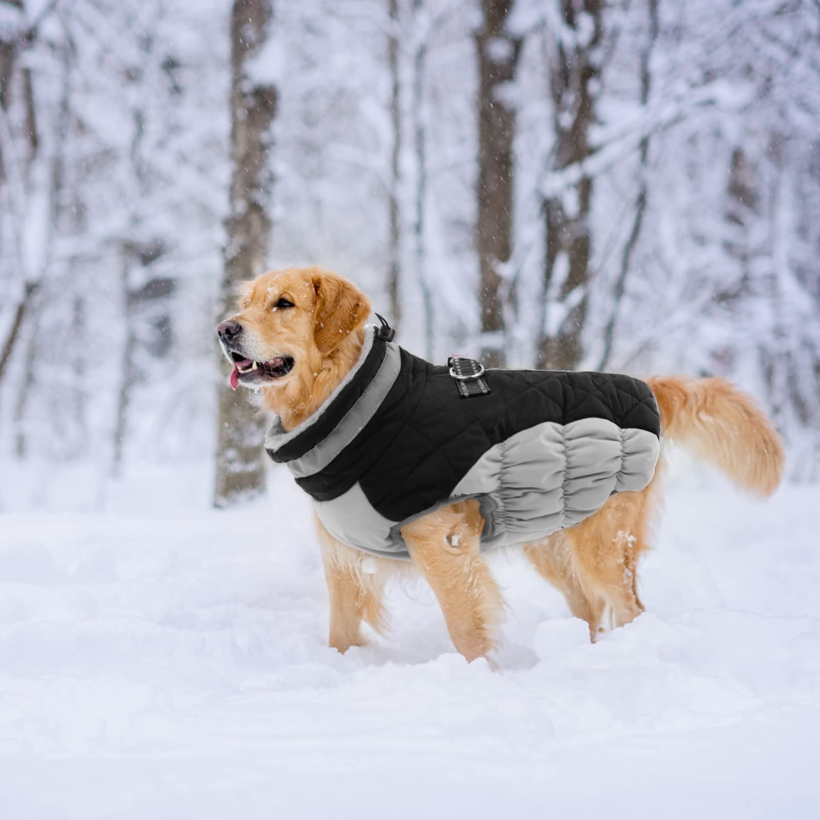Lelepet Warm Winter Dog Coat - Windproof Reflective Fleece Jacket with Harness & Zipper for Small Medium Large Dogs | Cold Weather Protection for Outdoor Walks & Daily Use