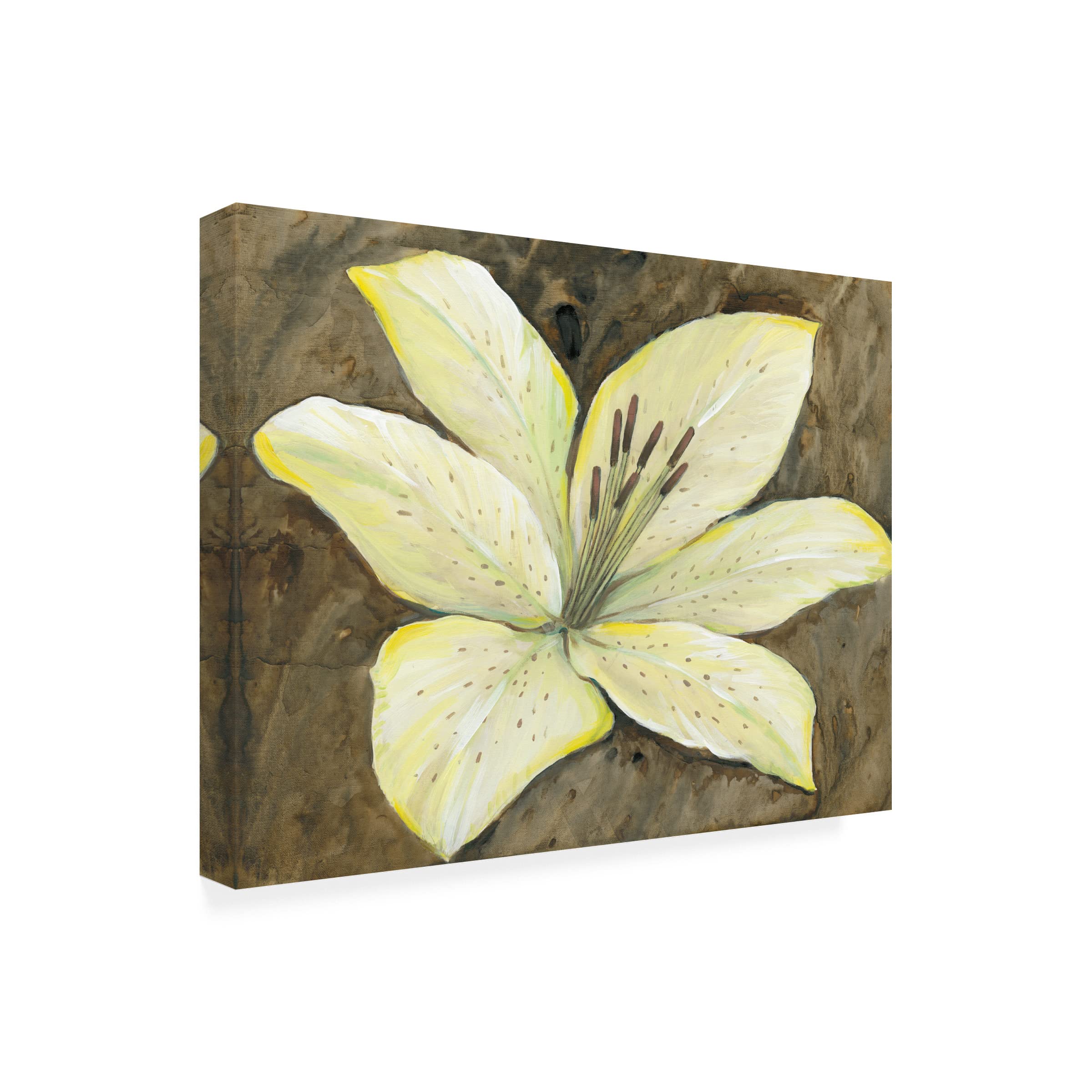 Tim O'Toole 'Neutral Lily I' Canvas Wall Art Print - Modern Floral Home Decor for Living Room, Bedroom & Office