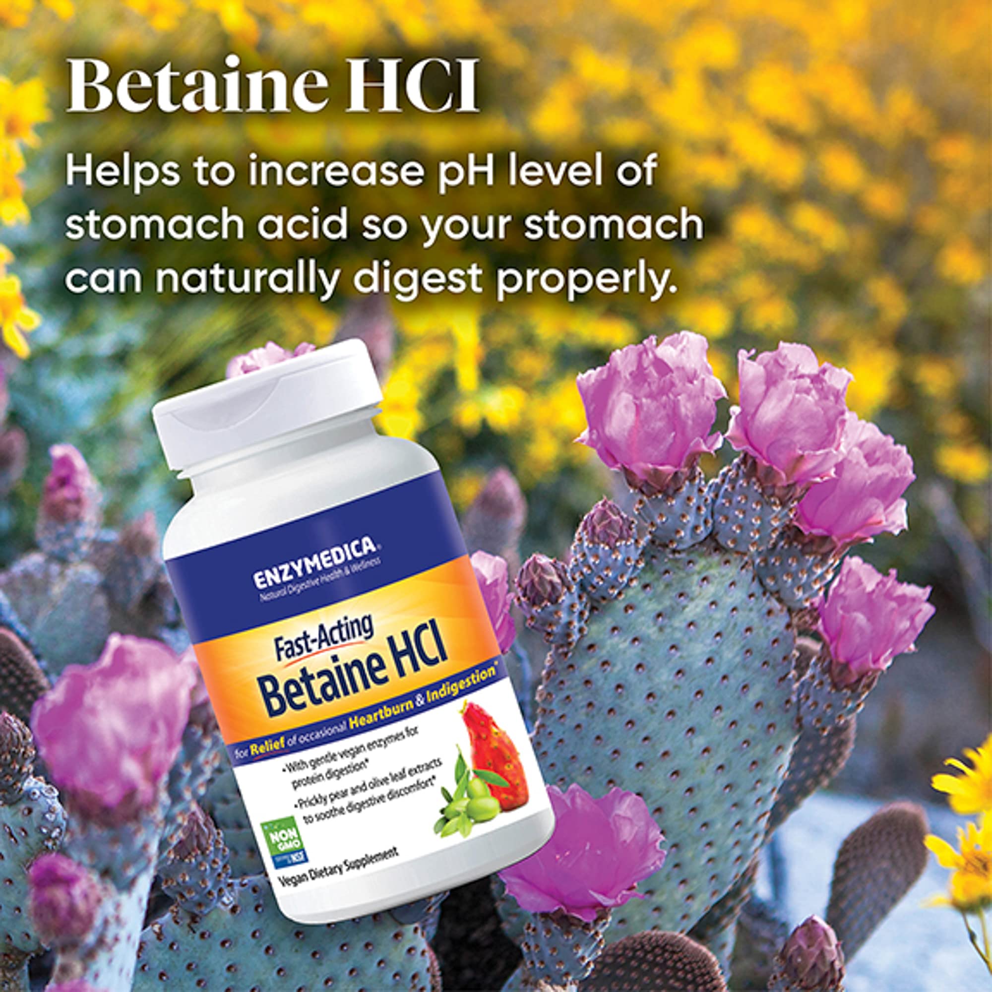 Enzymedica Betaine HCl Supplement - 120 Capsules for Digestive Support & Stomach Acid Balance | Ideal for Gut Health & Nutrient Absorption
