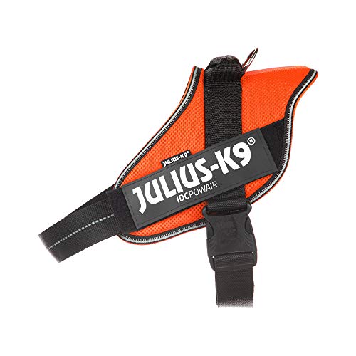 (Idc Powair) Orange