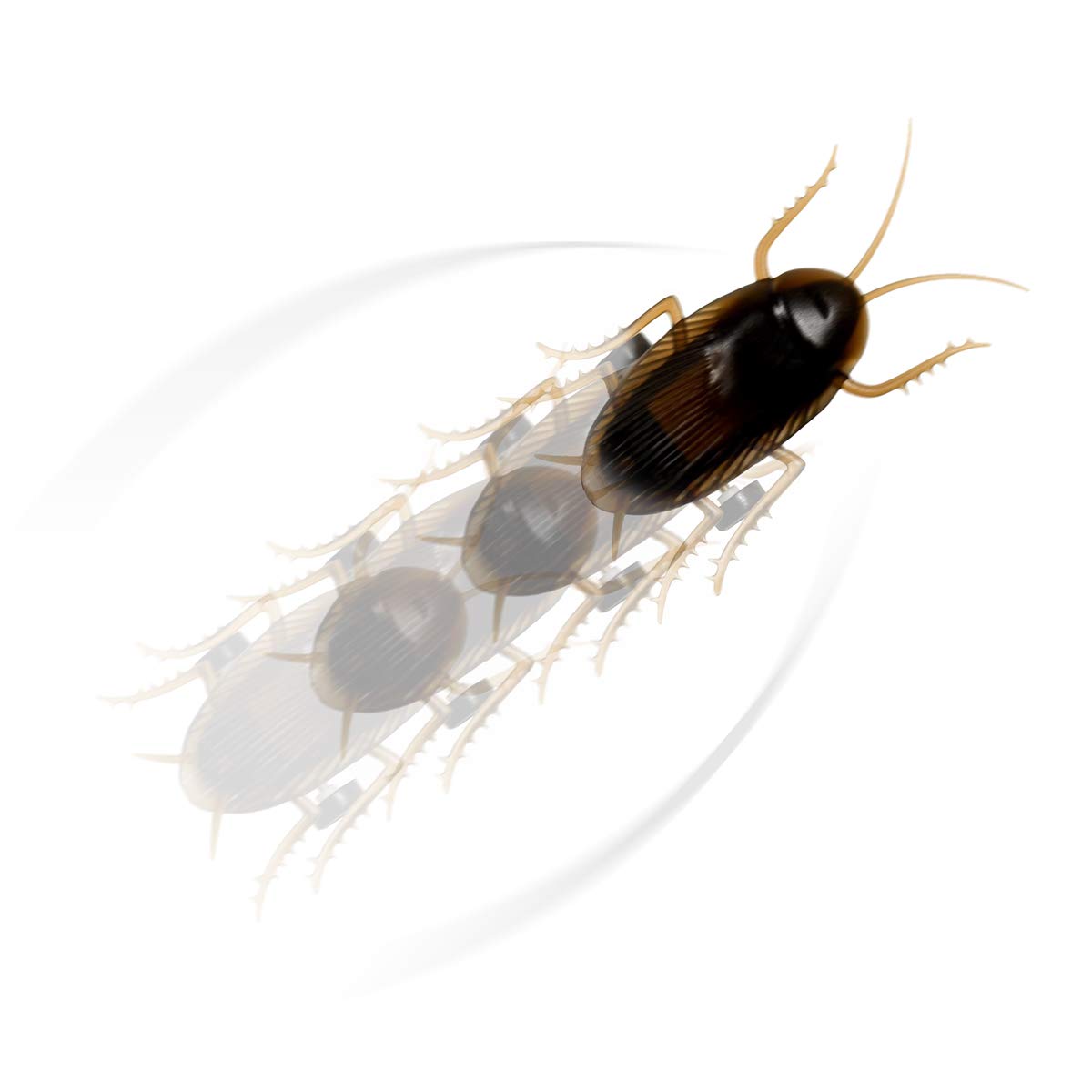 Funny Fake Cockroach Prank Toy - Realistic Scary Bug Gag Gift for Practical Jokes & Halloween Pranks - Great for Office Pranks, Birthday Gifts & Party Surprises