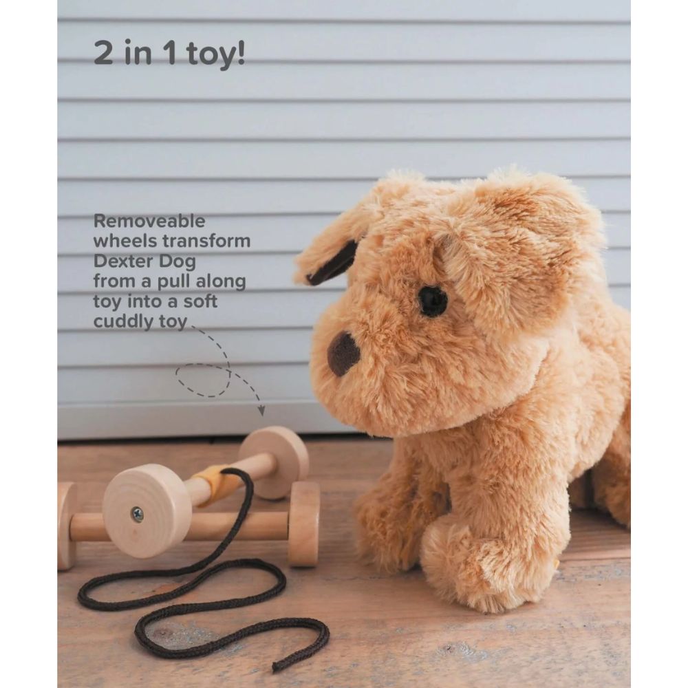 Dexter Dog Pull Along Toy - Interactive Pet Toy for Dogs, Fun Pulling & Chewing Play - Perfect for Indoor & Outdoor Playtime