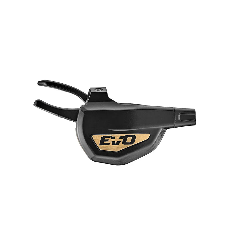 Black/Gold