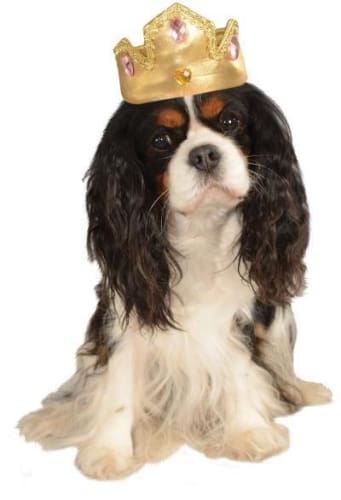 Gold Dog Tiara with Pink Stones – Elegant Pet Crown for Small Dogs, Perfect for Birthdays, Weddings & Photo Shoots