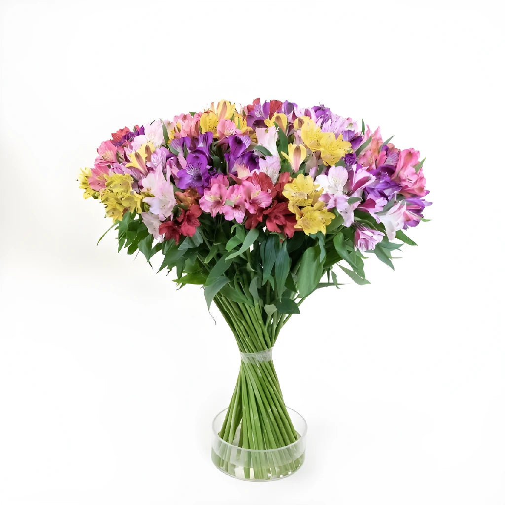 Alstroemeria Spiral Valentine's Day Flower Bouquet - Fresh Cut Peruvian Lily Arrangement for Romantic Gifts, Anniversaries & Weddings