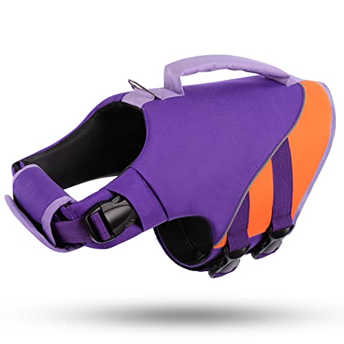 Purple/Orange