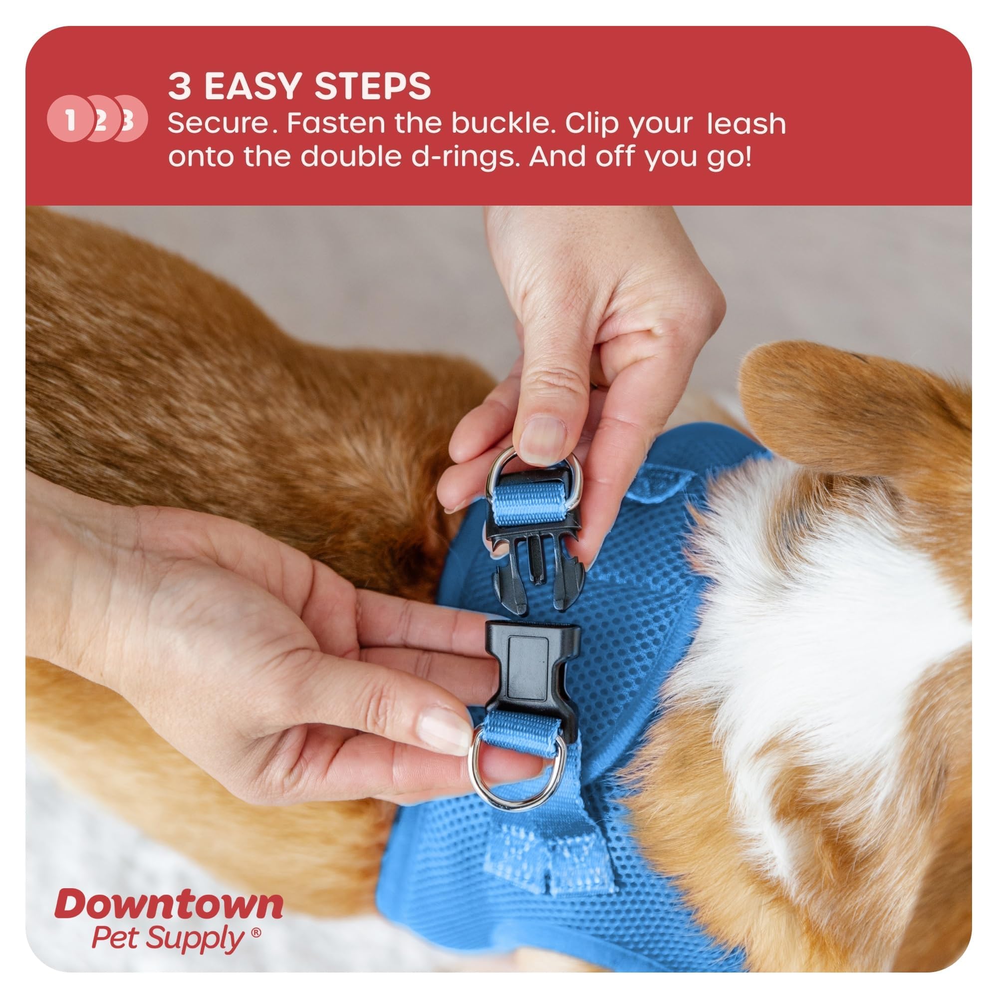 Downtown Pet Supply Step-in Dog Harness for Small Dogs & Cats - No Pull Adjustable Pet Harness with Padded Mesh Fabric & Reflective Trim - XX-Small Cobalt Blue - Perfect for Teacup Breeds, Walking & Outdoor Adventures