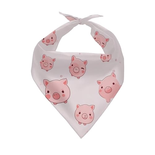 Funny Cartoon Pigs
