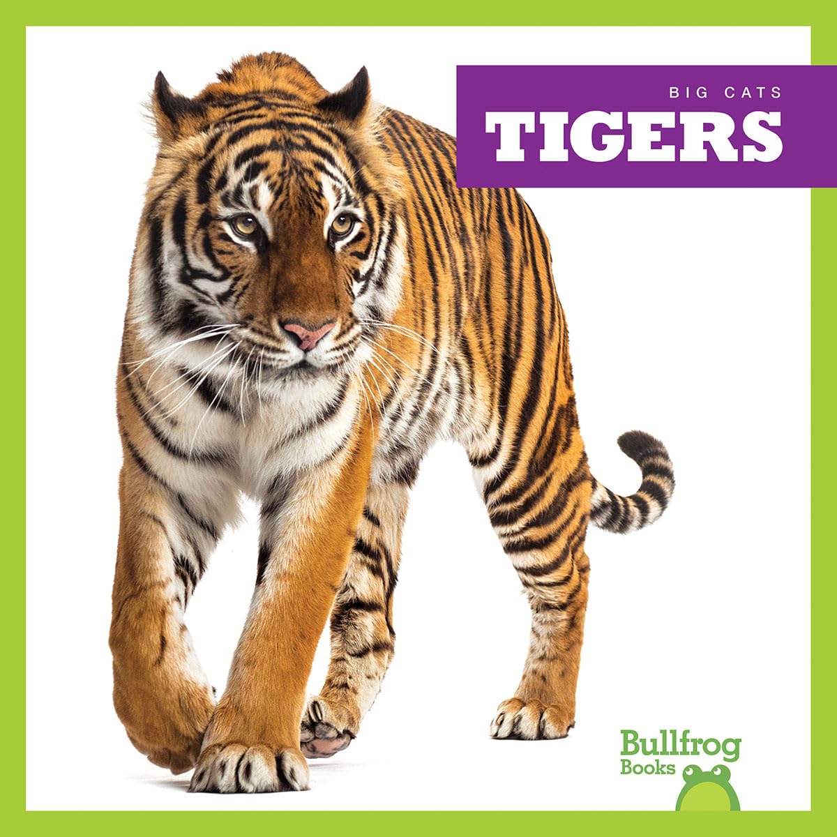 Big Cats Book: Tigers - Kids Wildlife Learning & Reading Fun