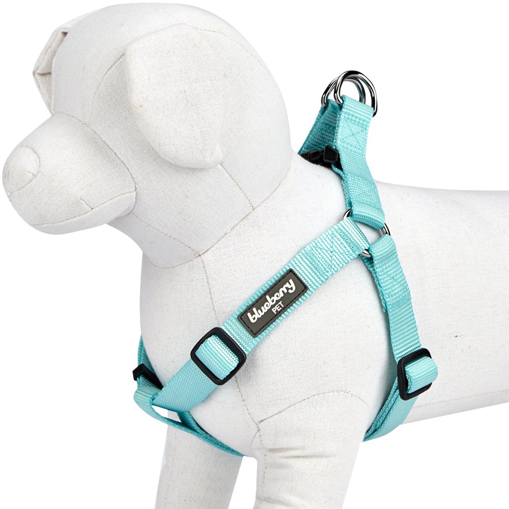 Blueberry Pet Essentials Adjustable No-Pull Dog Harness for Small Dogs | Classic Solid Nylon Easy Walk & Step-In Harness | Mint Blue Color | Perfect for Daily Walks, Training & Outdoor Adventures