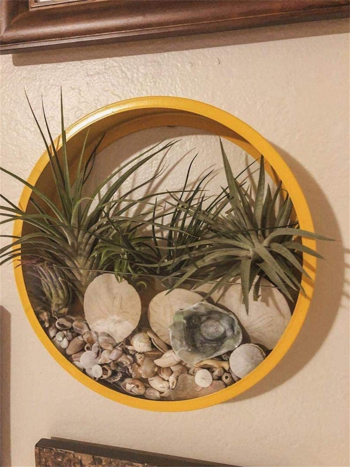 Ecosides Metal Wall Mounted Planter - 12