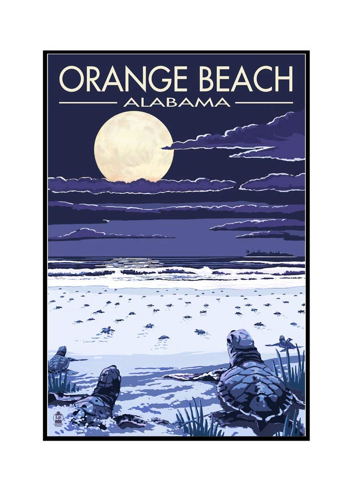 Orange Beach Alabama Baby Sea Turtles Wall Art - 24x36 Framed Gallery Wrapped Canvas Print - Coastal Nursery Decor, Beach House Wall Decor, Ocean Themed Living Room Art