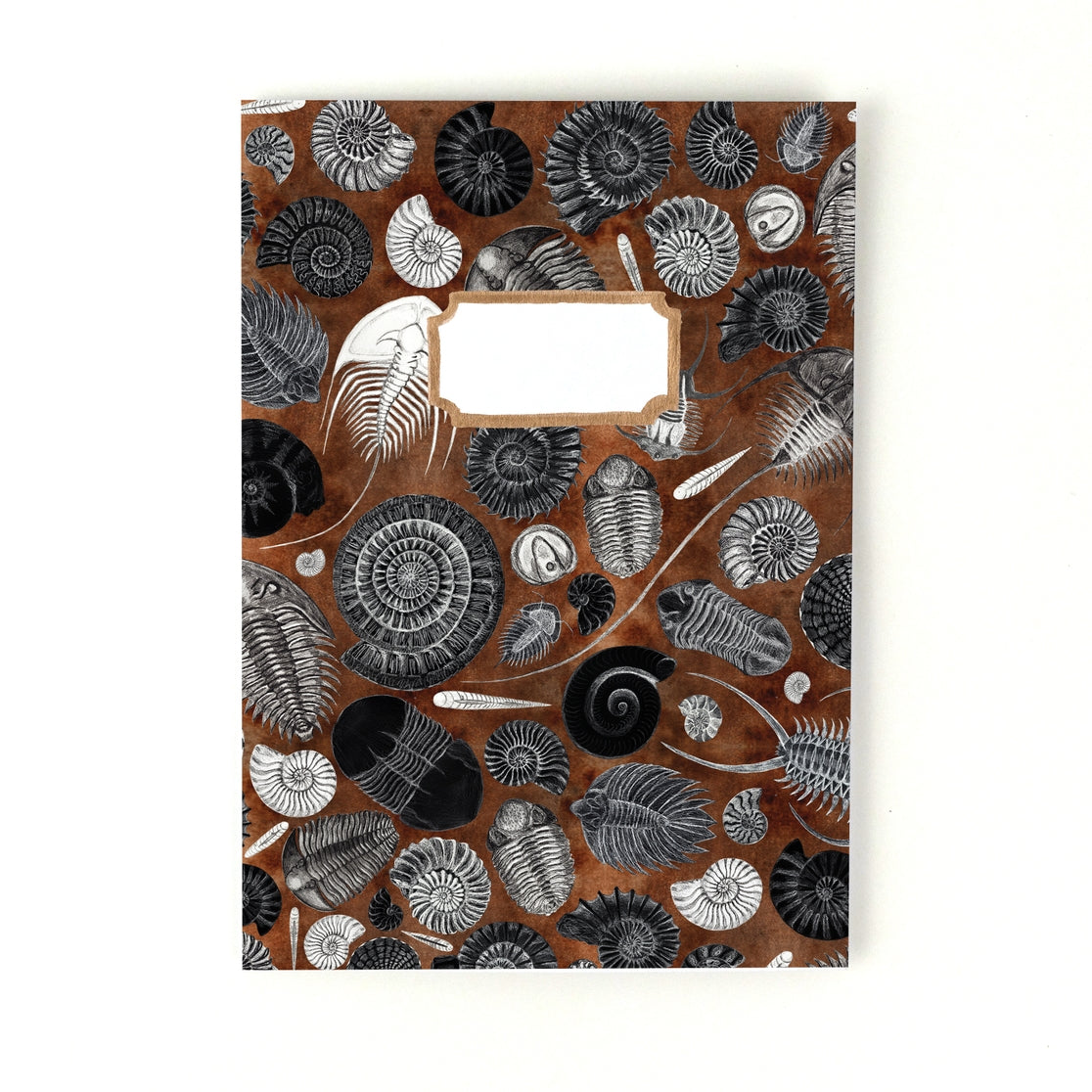Ammonoidea Fossil Notebook - Vintage Spiral Bound Journal with Unique Ammonite Design - Perfect for Writing, Sketching & Gift Giving