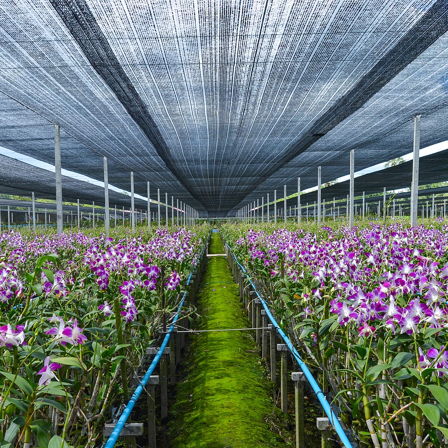 40% UV-Resistant Garden Shade Cloth - 20x20FT HDPE Mesh Tarp with Reinforced Grommets - Outdoor Sun Shade for Greenhouse, Garden, Patio Plants & Pergola - Perfect for Plant Protection and Outdoor Cooling
