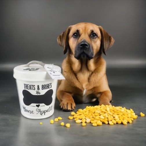Young's Inc. Large Ceramic Pet Treat Jar with Lid - Airtight Storage for Dog & Cat Treats, Cookies, Biscuits & Bones - Perfect for Kitchen Counter, Pet Training & Treat Organization (BPA-Free)