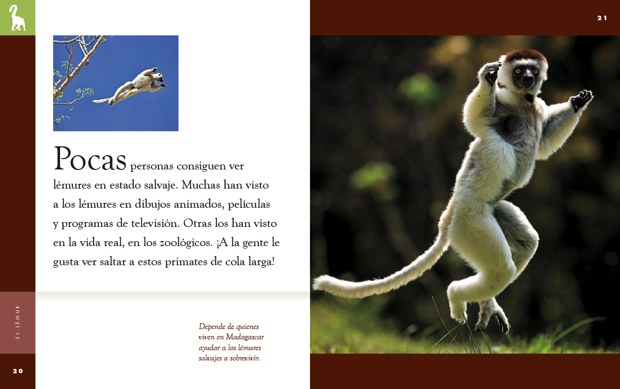 El Lemur Book 9781640265882 - Wildlife Education & Animal Facts for Kids, Perfect for Classroom Learning & Nature Enthusiasts