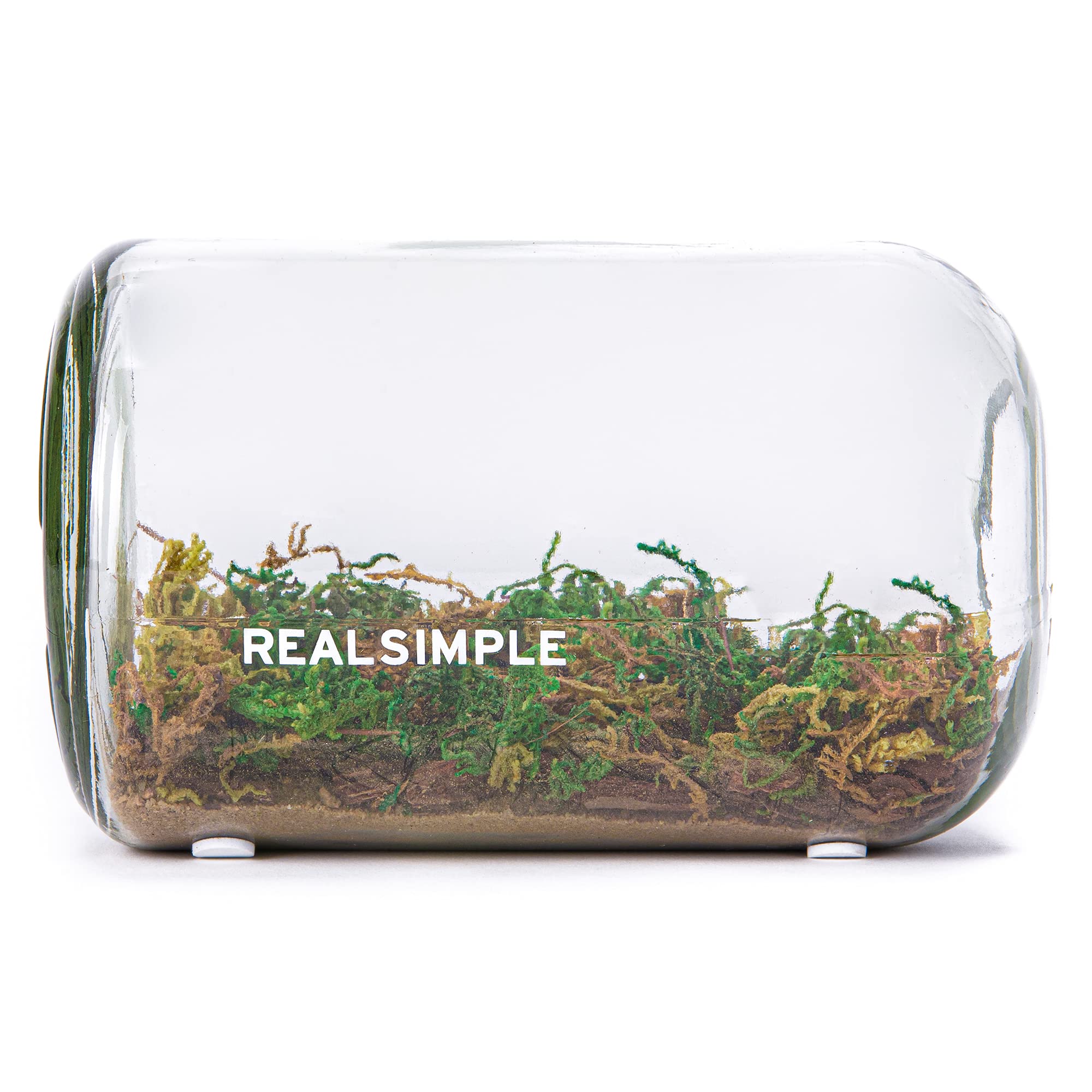 Real Simple DIY Terrarium Kit with Mini Glass Apothecary Jar - Complete Terrarium Tools & Live/Faux Plants Included - Perfect for Home Decor, Office Desk, or Gift Ideas