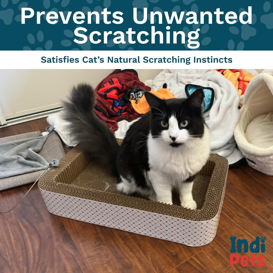 Premium Cat Scratching Bed with Built-in Scratcher - 2-in-1 Comfortable Open Cat Bed & Scratching Post for Indoor Cats - Perfect for Lounging, Napping & Claw Maintenance