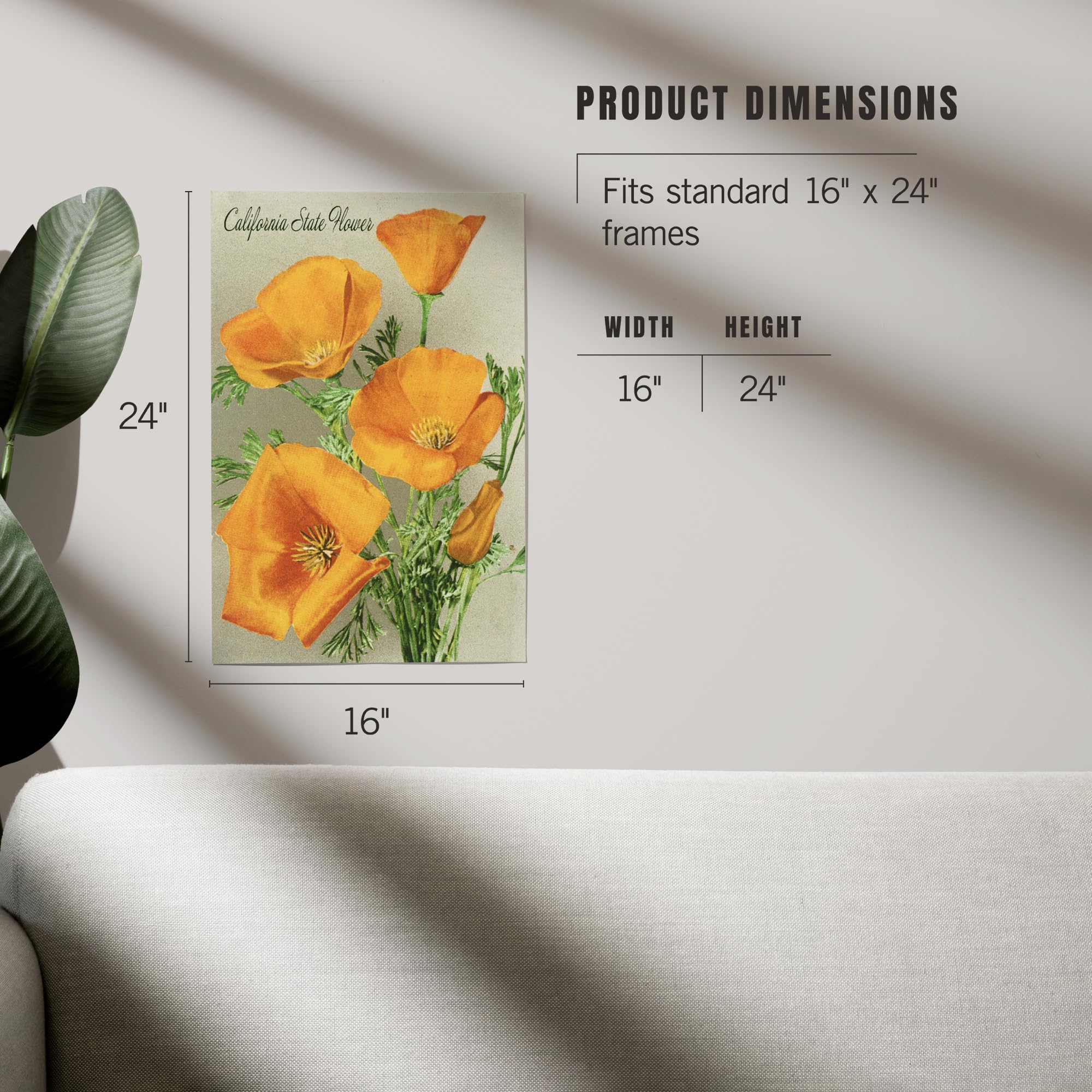 Lantern Press 16x24 Inch Giclee Print - California State Flower Art, The Californian Poppy Flowers Wall Decor | Perfect for Home, Office & Gallery Display