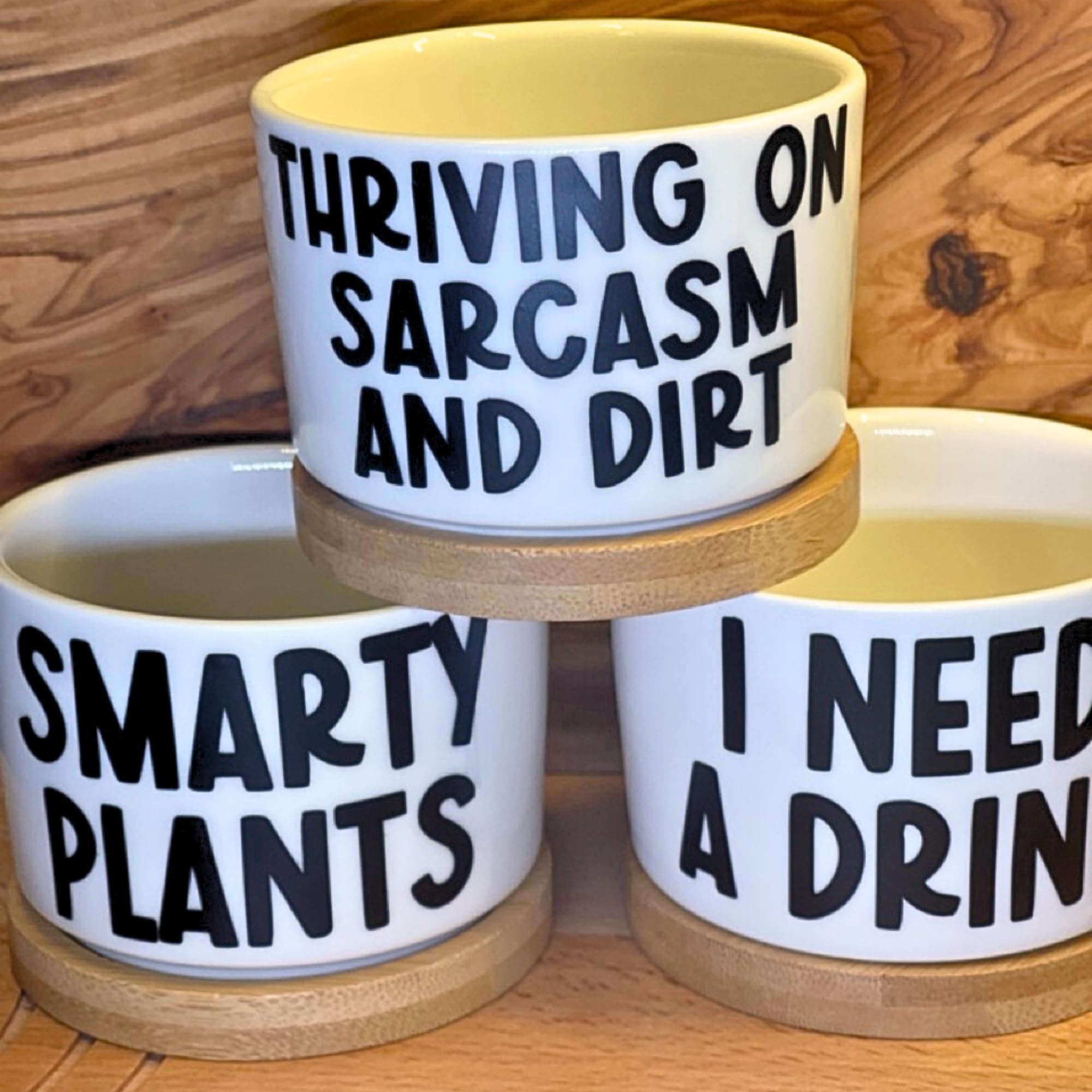 Stylish Ceramic Plant Pots with Inspirational Quotes - Small White Succulent, Cactus & Air Plant Pots - Perfect Unique Gift for Plant Lovers - Ideal for Home Decor, Office Desk & Indoor Gardening