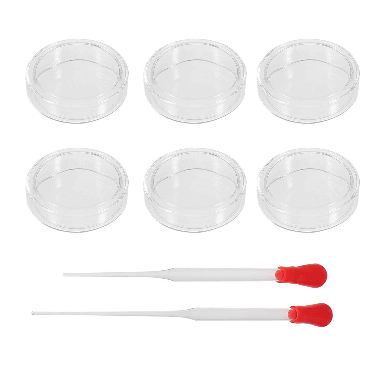 6pcs Petri Dish Set with Pipette for Lab Culture & Experiments