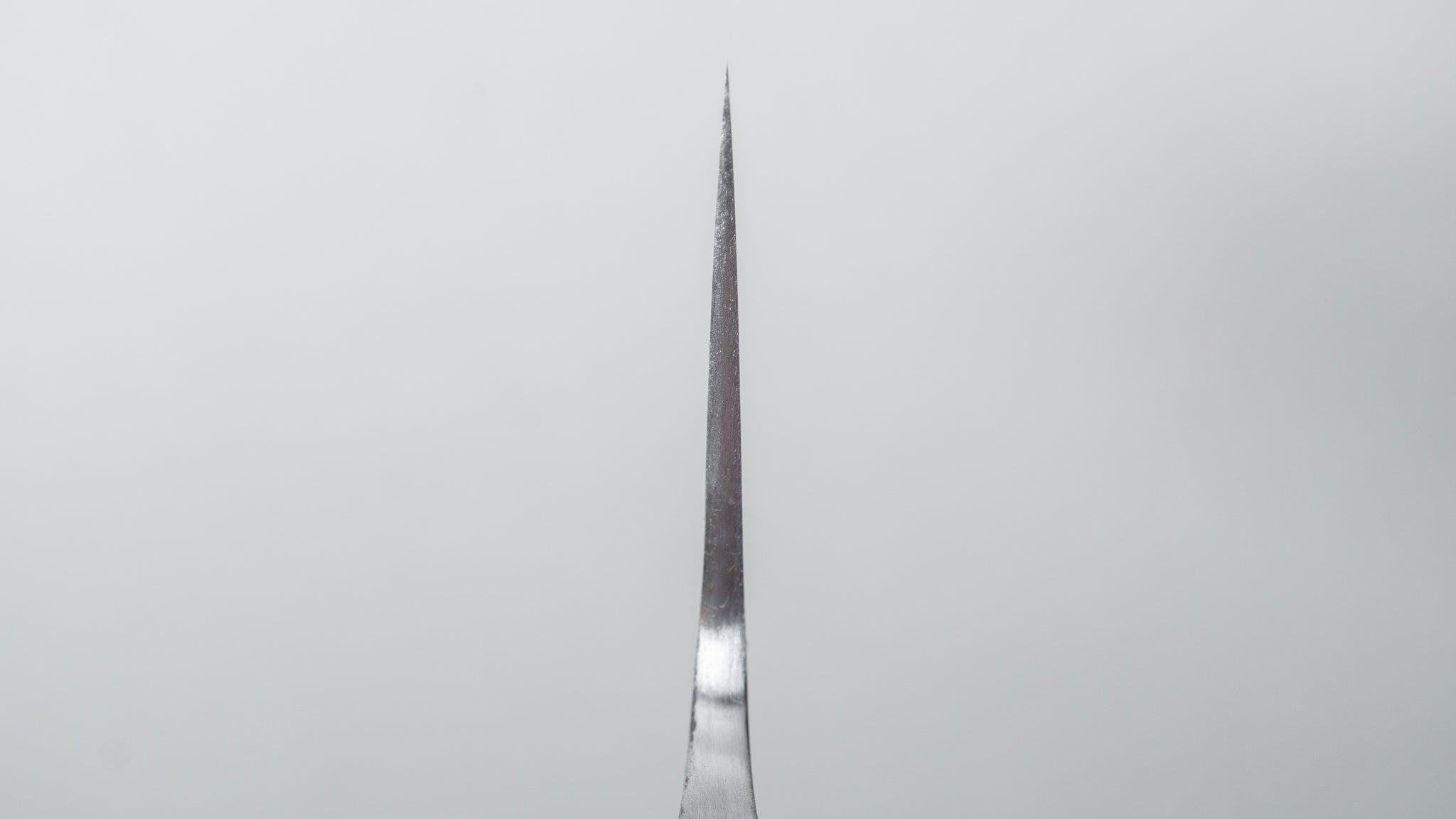 Premium Jiro Tsuchime Yo Gyuto 210mm Japanese Chef Knife with Tagayasan Handle - Perfect for Sushi, Meat Cutting & Professional Kitchen Use