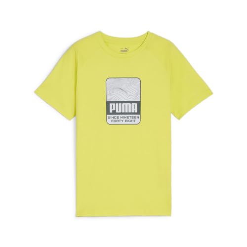 Lime Sheen Green