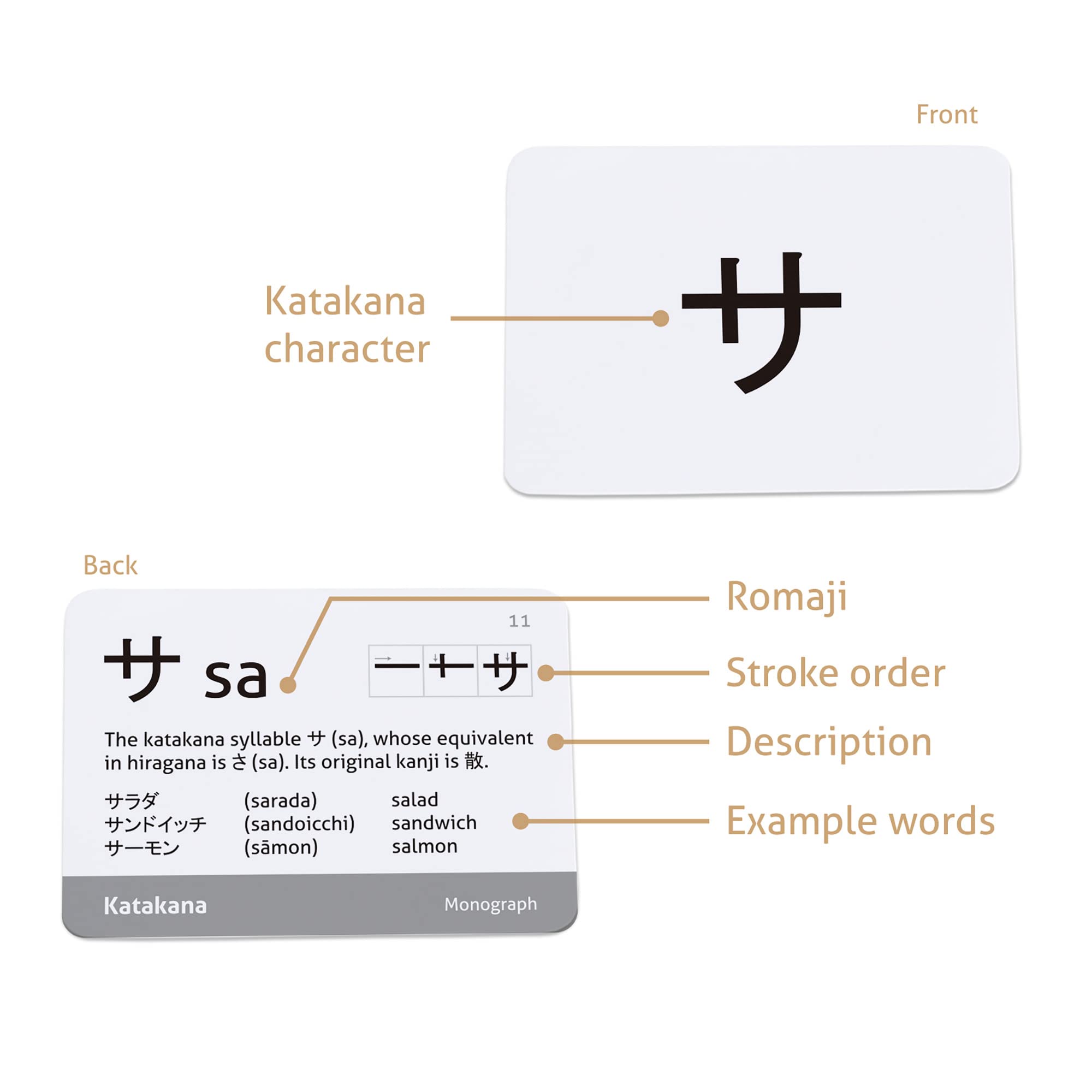 CARDDIA Japanese Hiragana & Katakana Flash Cards with Vocabulary - Beginner Learning Set for Language Study, Travel & Anime Enthusiasts