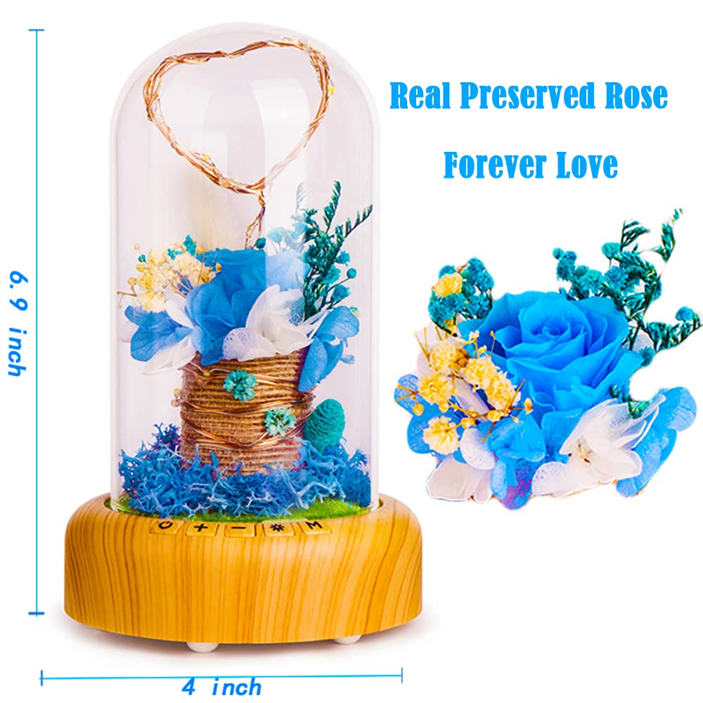 SWEETIME Blue Rose Lamp - Real Preserved Rose in Glass Dome with Bluetooth Speaker, Eternal Flower Night Light & Musical Box - Perfect Gift for Women on Mother's Day, Birthday, Valentine's Day - Romantic Home Decor for Bedroom, Living Room, Wedding Anniversary