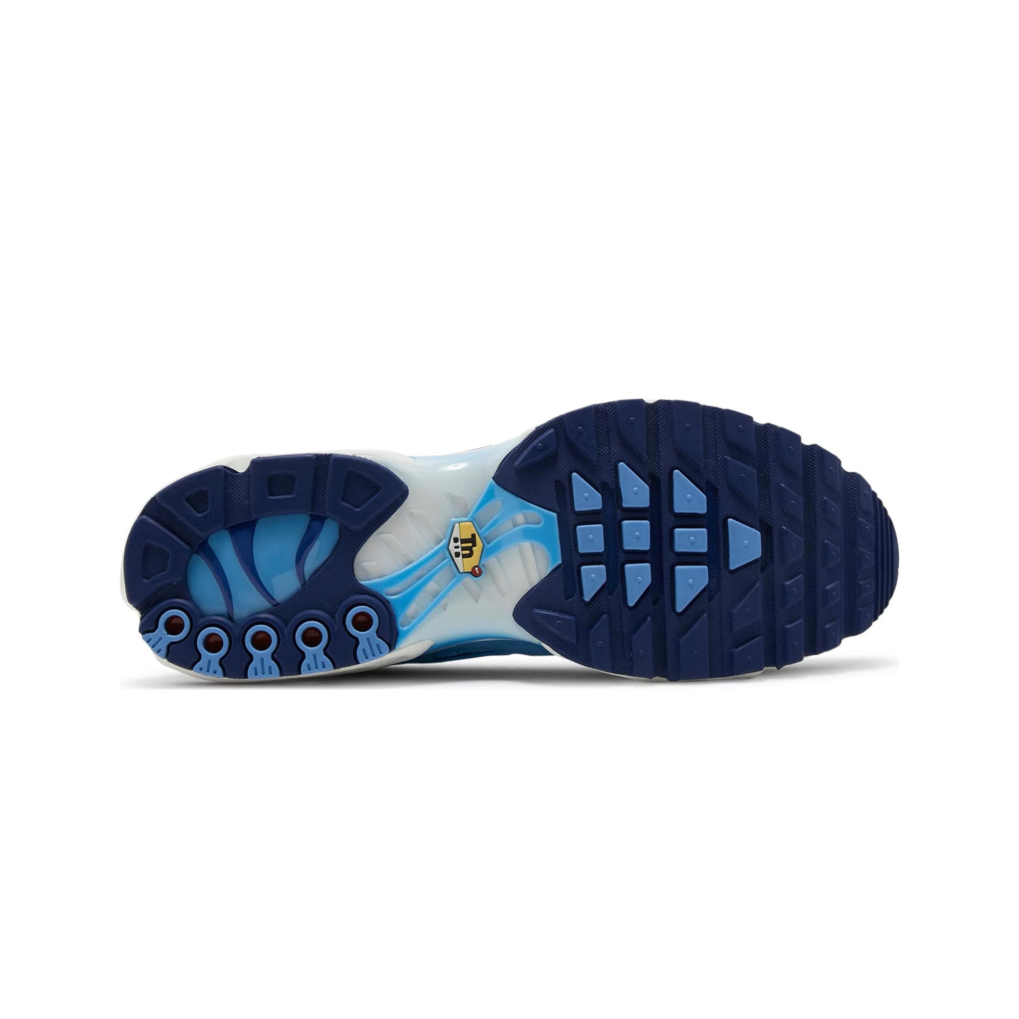 Nike Air Max Plus SE 'First Use' Running Shoes - Men's Comfortable Cushioned Sneakers for Gym, Workout & Casual Wear