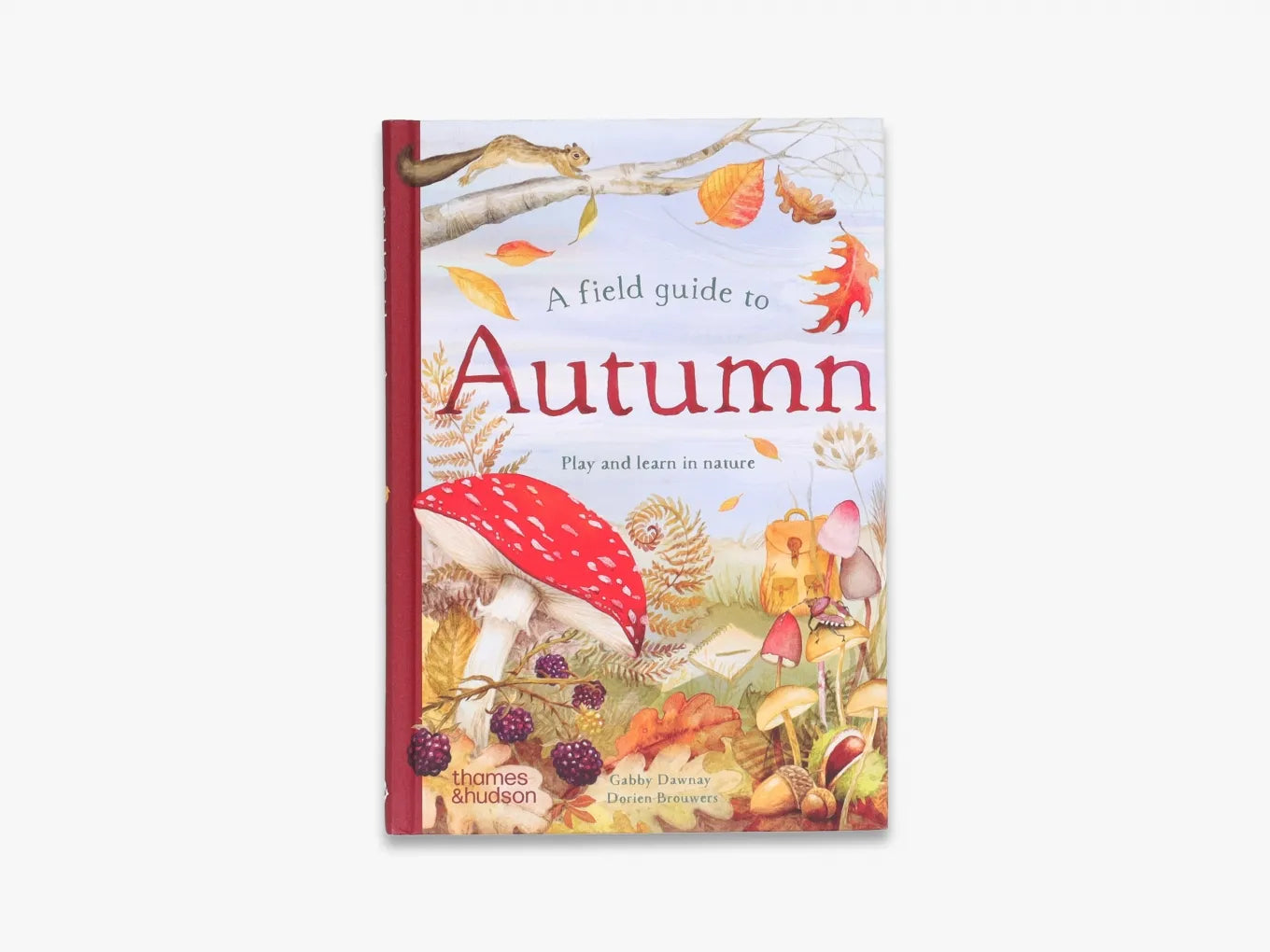 A Field Guide to Autumn - Nature Exploration Book for Fall Hiking & Outdoor Activities | Field Guide Series