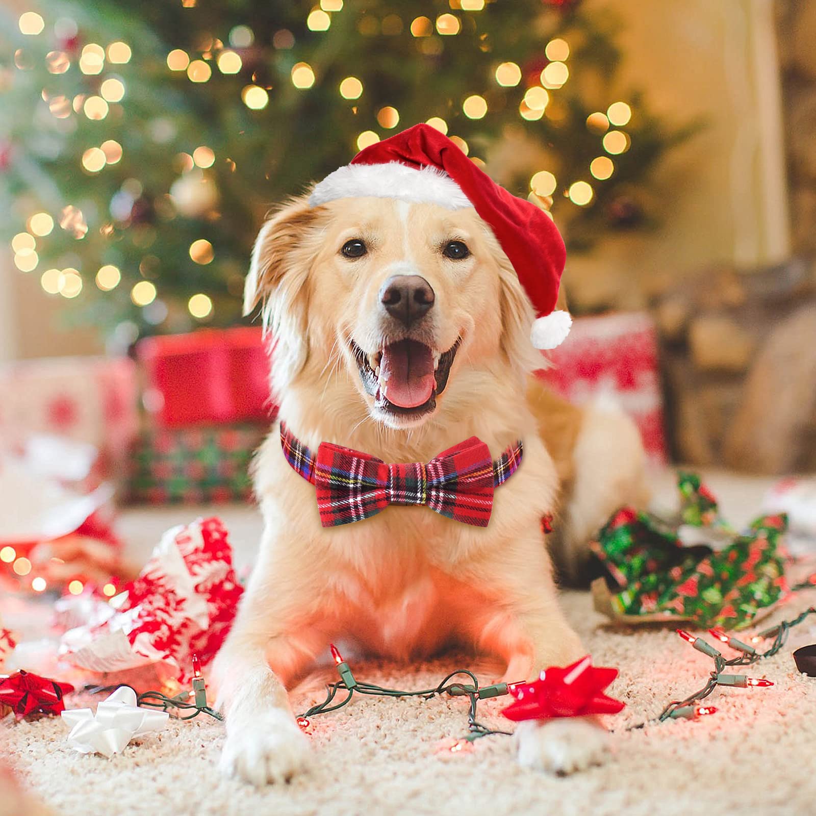 Malier Dog Collar with Bow Tie - Christmas Classic Plaid Snowflake Pet Collar for Small Medium Large Dogs & Cats (Scotland Red Plaid, Small) | Perfect for Holiday Photos & Winter Walks