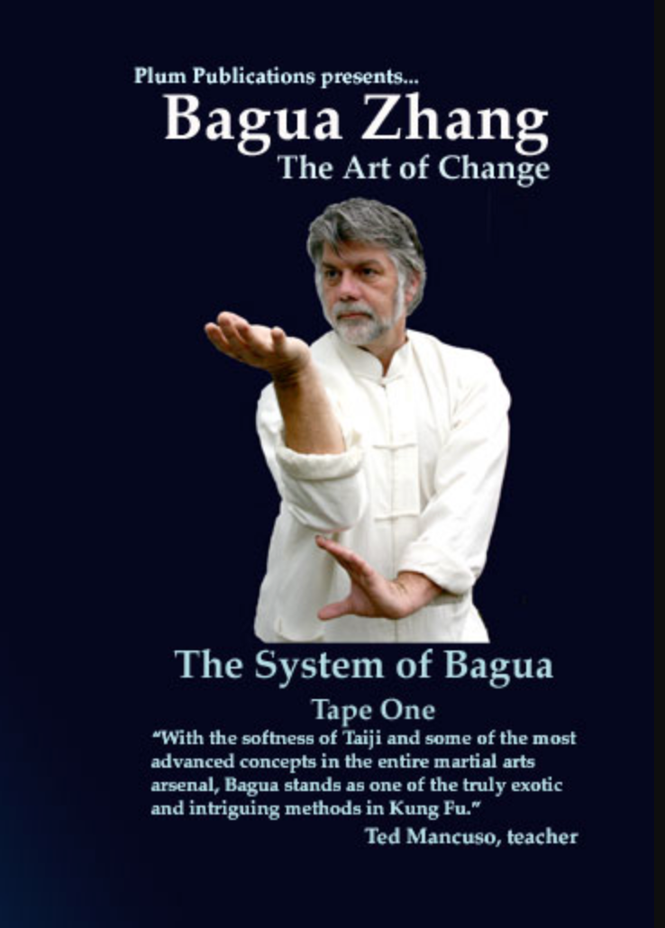 Bagua: The Art of Change DVD 1 by Ted Mancuso (Used) - Learn Ancient Chinese Martial Arts for Self-Defense & Meditation at Home
