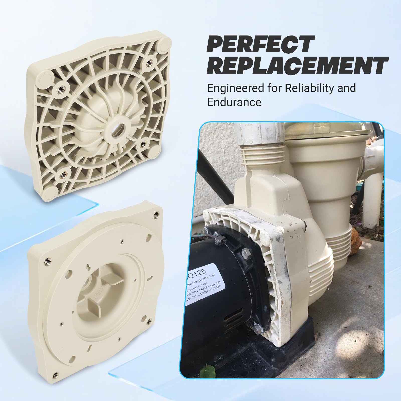 Pentair SuperFlo Inground Pool Pump Almond Seal Plate 356012 Replacement - Compatible with Pentair Pinnacle High Flow & Sta-Rite Supermax Pumps - PAC-101-6012 - Perfect for Pool Maintenance & Pump Repair