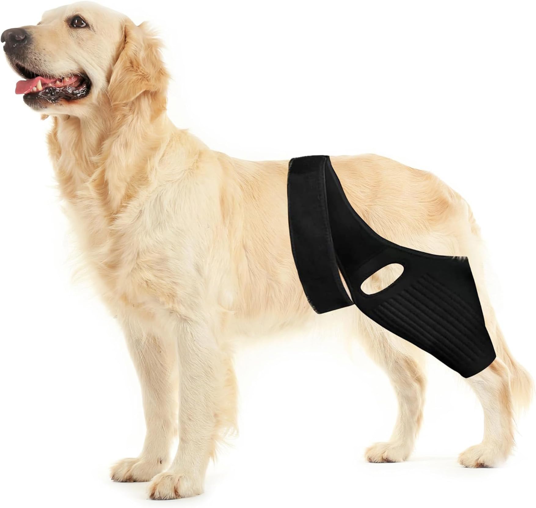 Huimpet Dog ACL Brace for Hip, Knee & Leg Support - Adjustable Dog Leg Brace for ACL Tear, Hip Dysplasia, Arthritis & Luxating Patella | Comfortable Rear Leg Support for Large Dogs (XL Size) | Ideal for Post-Surgery Recovery & Daily Mobility Aid