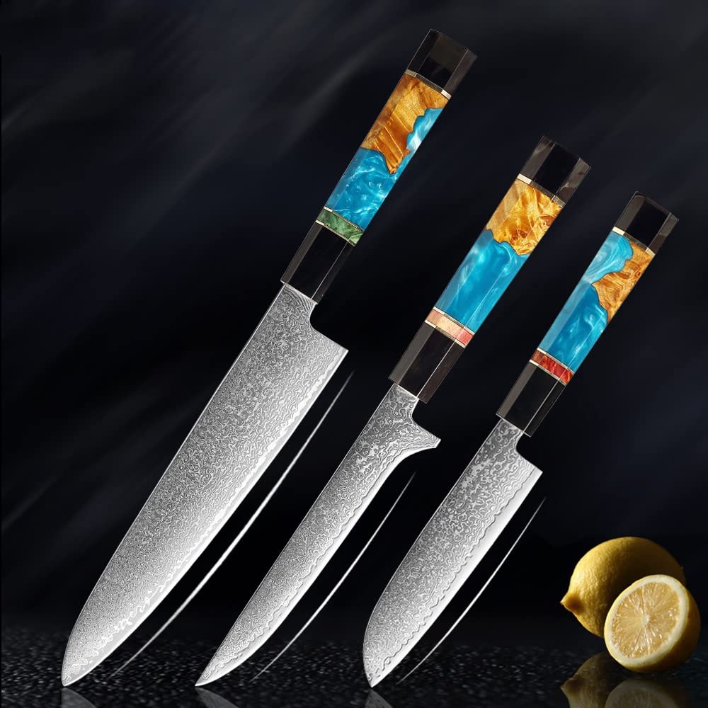 Premium Damascus Steel Kitchen Knife Set - 3-Piece Chef, Cleaver & Paring Knives with Resin & Horn Handle for Professional Cooking | Perfect for Home Chefs, Meat Cutting & Vegetable Prep (B8800-3pcA)