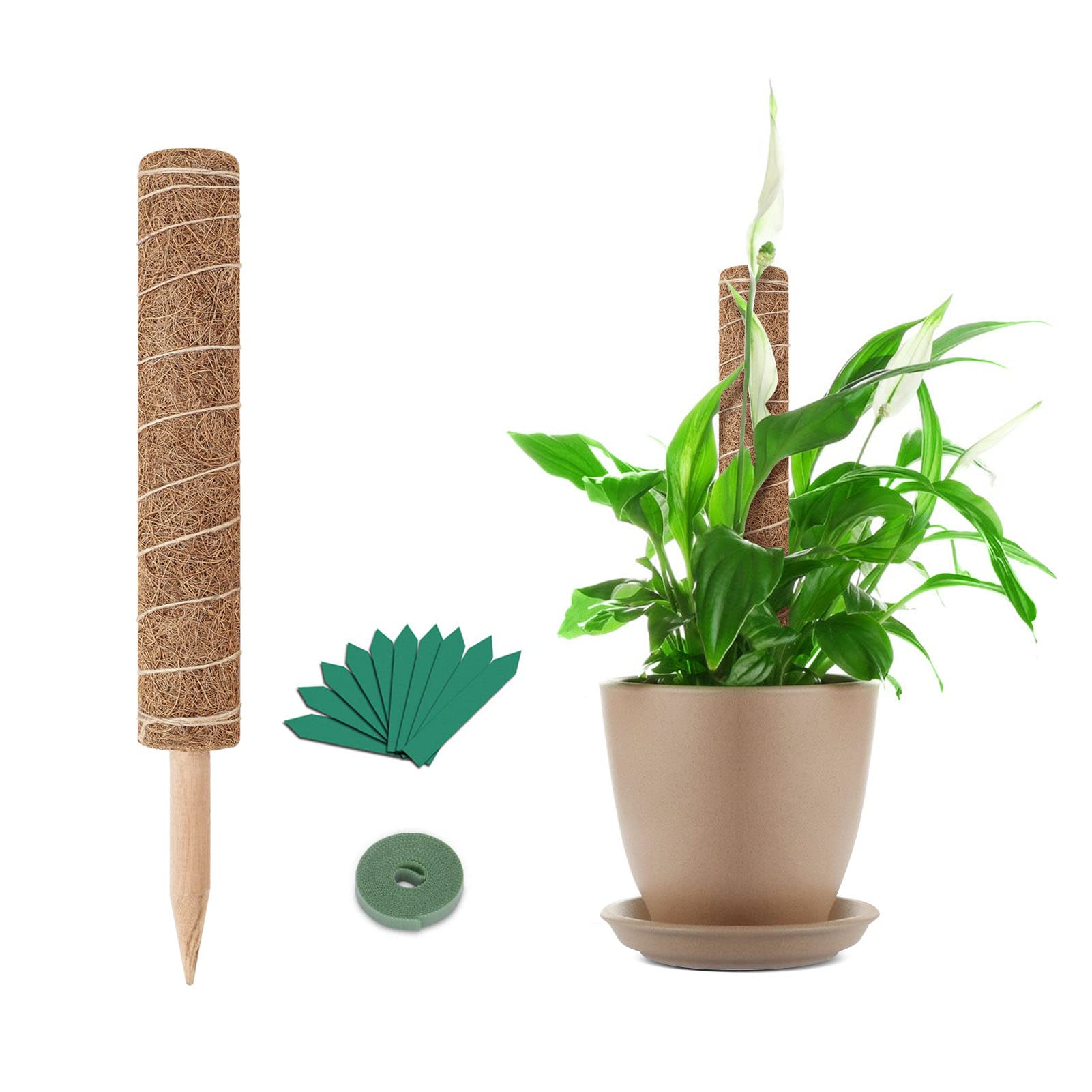 GROWNEER 17 Inch Moss Pole with 15 Plant Labels - Coir Totem Pole for Climbing Plants, Monstera Support, Pothos Trellis - Indoor Plant Extension Stakes for Creepers, Philodendron, Ivy (Perfect for Home Decor & Vertical Gardens)