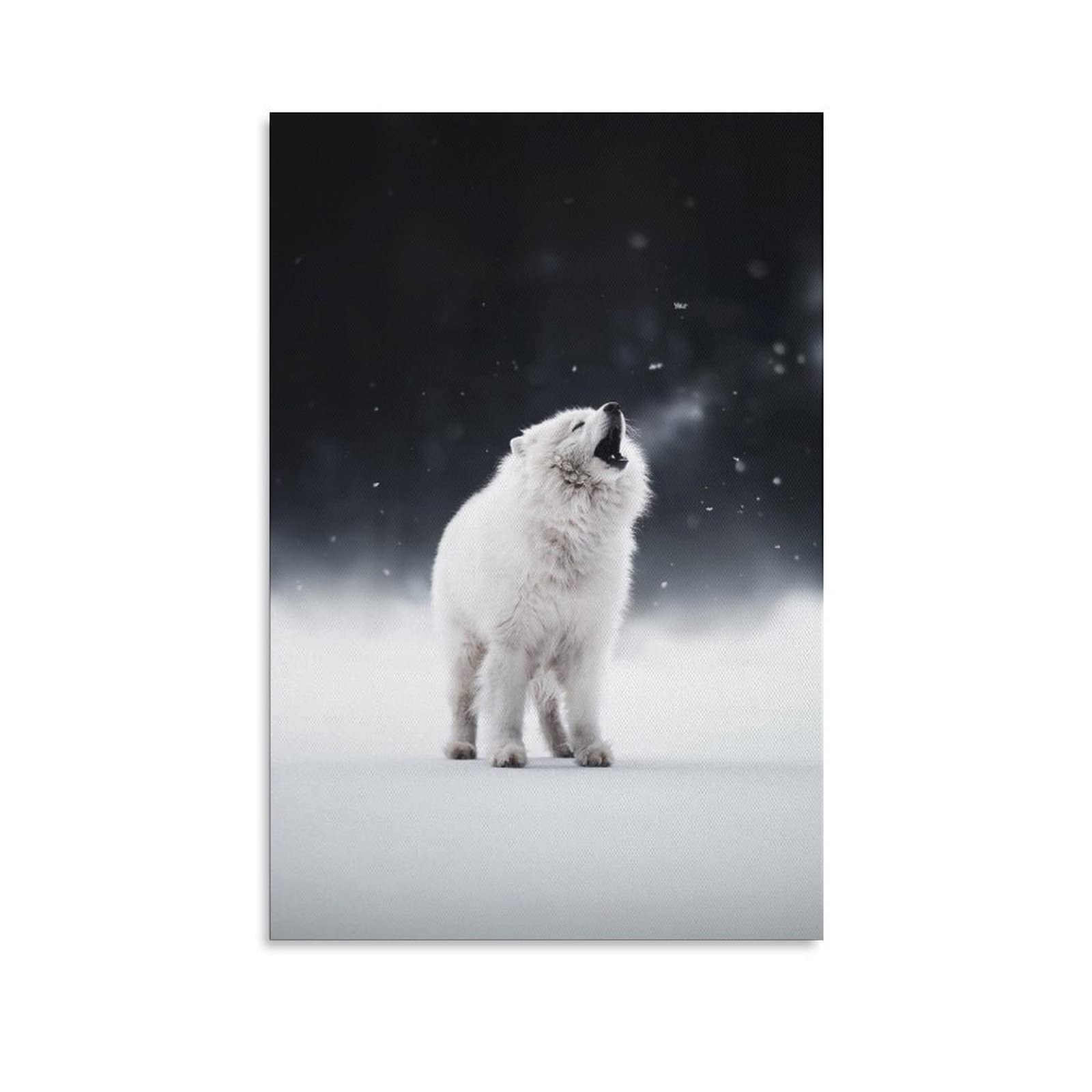 Snow-White Samoyed Dog Growling Canvas Wall Art Print - 12x18 Inches (30x45cm) - Perfect for Living Room, Bedroom & Office Decor - Ideal Gift for Dog Lovers & Home Decoration