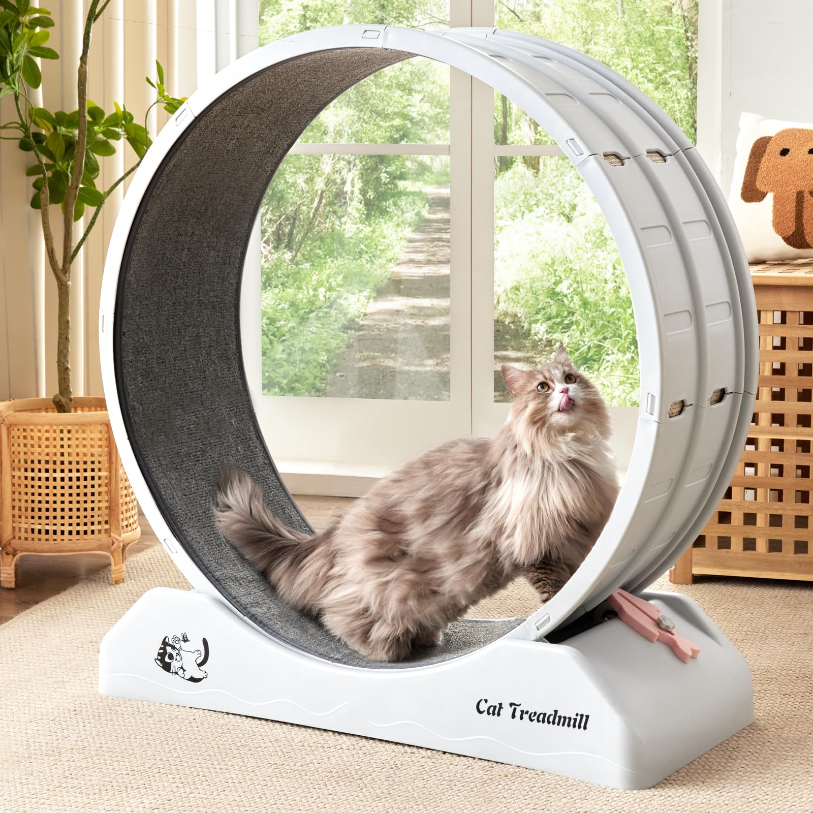 EXQ Home 31.5 Inch Silent Cat Exercise Wheel - Indoor Cat Treadmill with Carpeted Runway for Fitness & Health - Perfect for Small Spaces & Active Cats (Grey) | Great for Apartments, Pet Fitness Training & Energy Release
