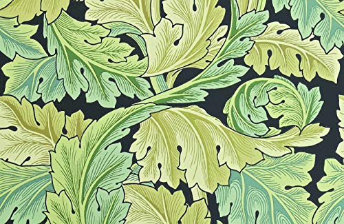 Acanthus