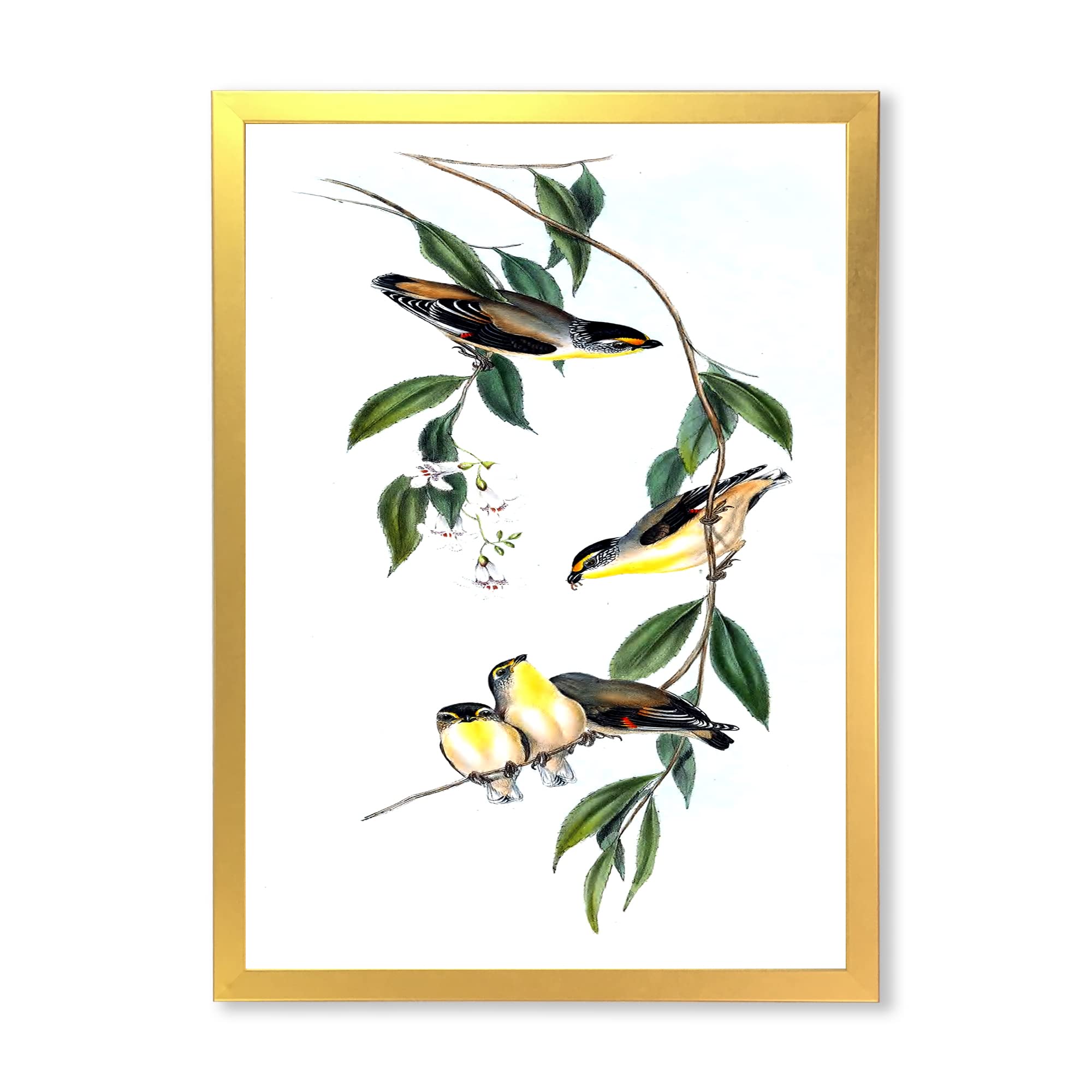 Vintage Bird III Traditional Framed Wall Art - Handcrafted Home Decor for Living Room, Bedroom & Office - Perfect Gift for Housewarming & Holidays