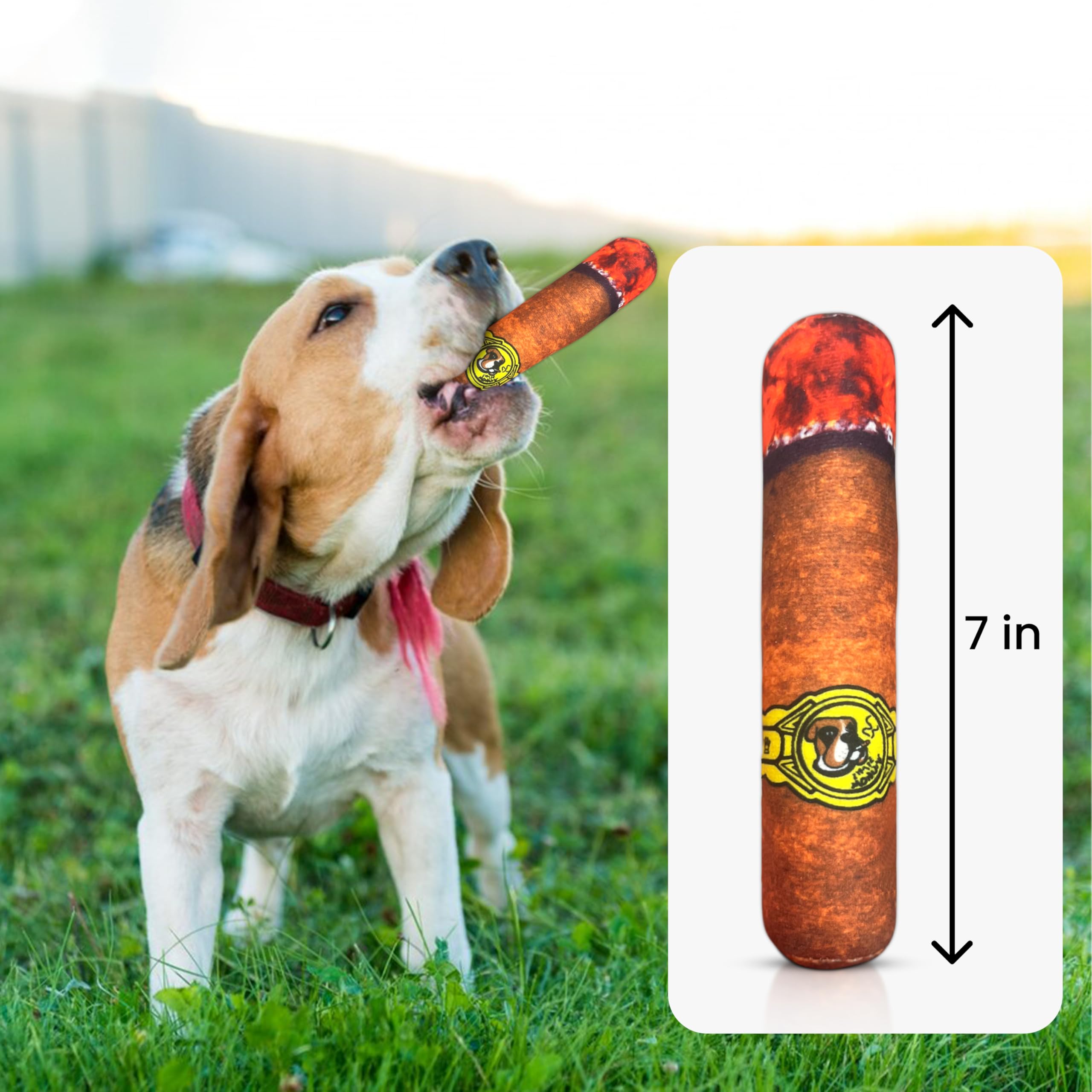Vaulted Skulls & Co Small Dog Cigar Chew Toy with Squeaker - 7