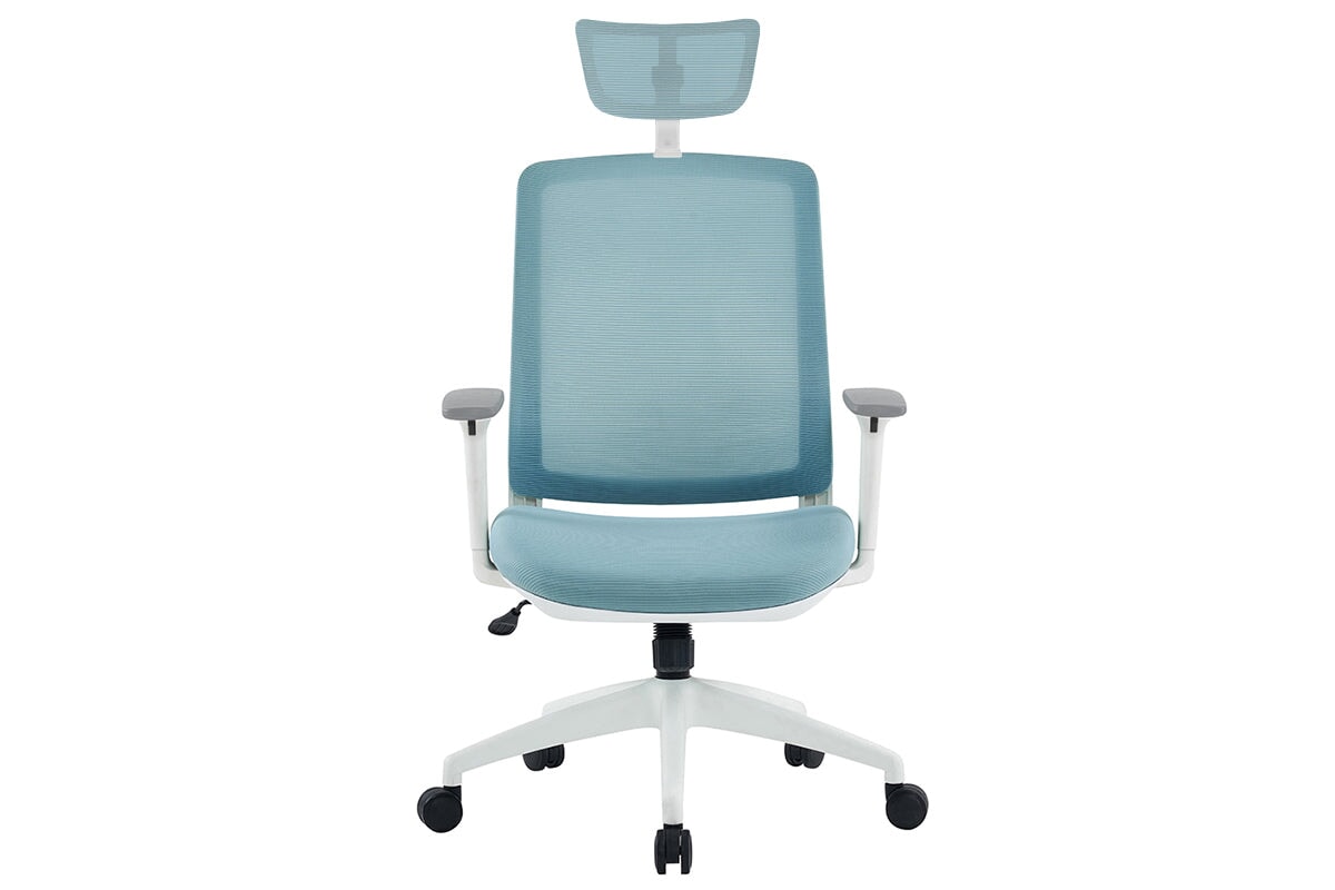 Finch Ergonomic Mesh Office Chair with Adjustable Headrest - Comfortable & Breathable for Home & Workspaces